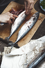 Image showing Woman preparing mackerel fish