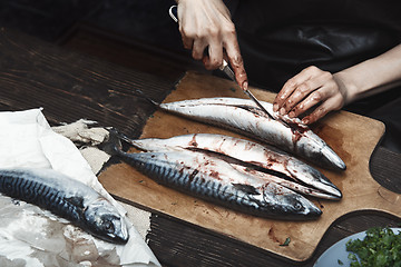 Image showing Woman preparing mackerel fish