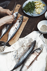 Image showing Woman preparing mackerel fish