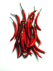 Image showing Red Chilies
