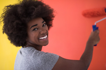 Image showing black woman painting wall