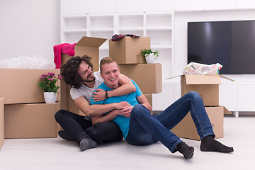 Image showing young  gay couple moving  in new house