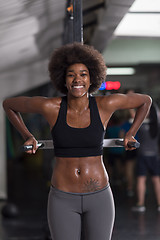 Image showing black woman doing parallel bars Exercise