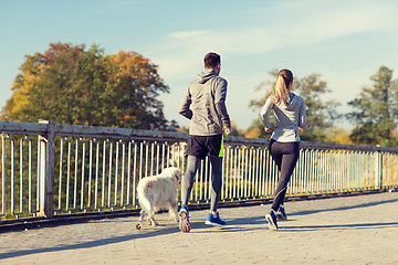 Image showing couple with dog running outdoors