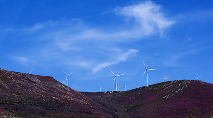 Image showing Wind Turbines on Lavender Hills