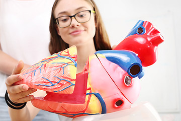 Image showing Schoolgirl watching model of the human heart. Anatomy lesson, built as the heart 