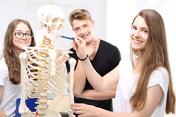 Image showing Skeleton, anatomy students in class Teenagers on biology lesson