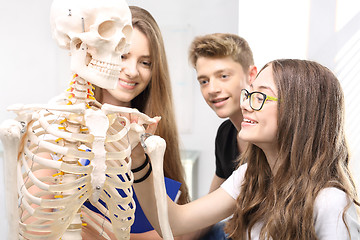 Image showing Schoolgirl watching model of a human skeleton.