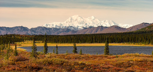 Image showing Denali Range Mt McKinley Alaska North America