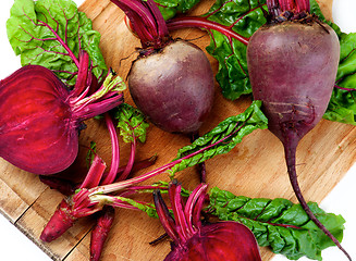 Image showing Fresh Young Beet