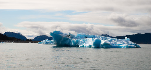 Image showing Glacier Ice Kenai Fjords Alaska United States