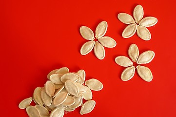 Image showing Pumpkin seeds on red background