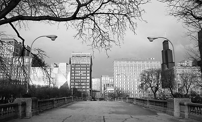 Image showing Traditional Black and White Downtown Chicago Skyline