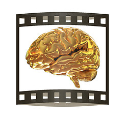 Image showing Gold brain. 3d render. The film strip