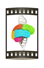 Image showing Brain and dna. 3d illustration. The film strip