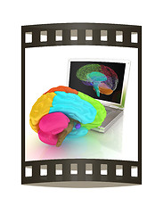 Image showing creative three-dimensional model of real human brain and scan on