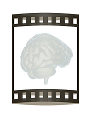 Image showing 3D illustration of human brain. The film strip