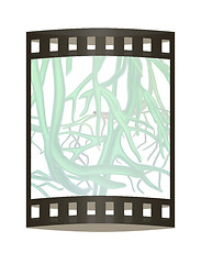 Image showing veins. 3d illustration. The film strip