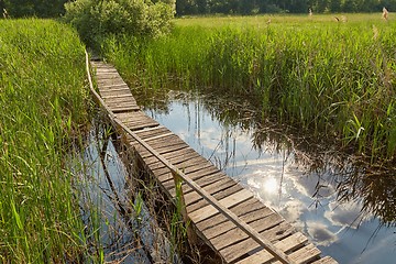 Image showing Swamp walking path