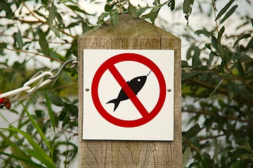 Image showing No Fishing Sign