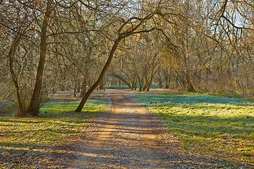 Image showing Autumn morning landscape