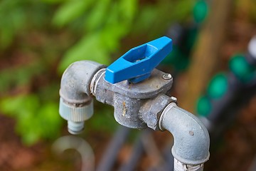 Image showing Garden water tap