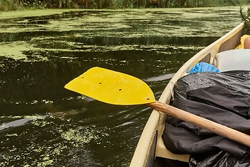 Image showing Canoing on a river