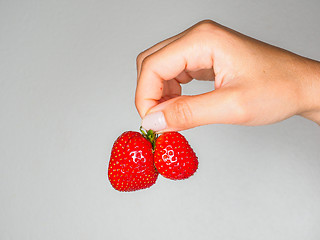 Image showing Female person holding a fresh red strawberries isolated towards 