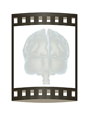 Image showing 3D illustration of human brain. The film strip