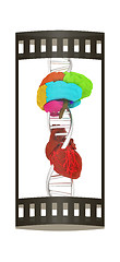 Image showing DNA, brain and heart. 3d illustration. The film strip