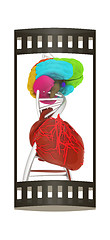 Image showing DNA, brain and heart. 3d illustration. The film strip