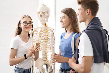 Image showing Skeleton, anatomy students in class