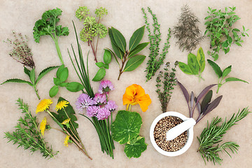 Image showing Fresh Herb Selection 