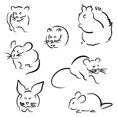 Image showing Set of rodents