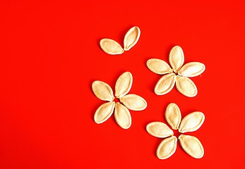 Image showing Pumpkin seeds on red background