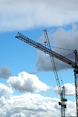 Image showing Tall crane.