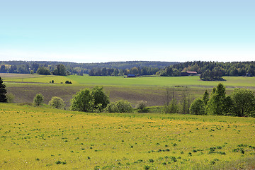 Image showing Summer Fields