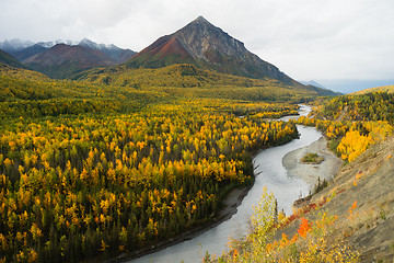 Image showing Matanuska River Flows utumn Season Fall Color Alaska