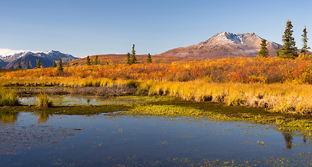 Image showing Ancient Volcano Sits Dormant Near Alaskan Pond