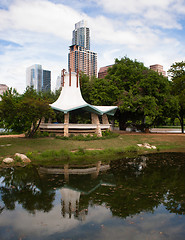 Image showing Park Pond Vertical Composition Austin Texas Afternoon