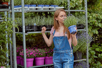 Image showing Excited woman with potted flower