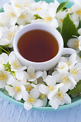 Image showing jasmine tea