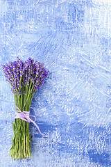 Image showing bunch of lavender