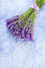 Image showing bunch of lavender