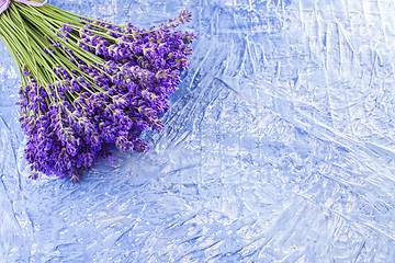 Image showing bunch of lavender