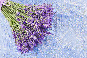 Image showing bunch of lavender