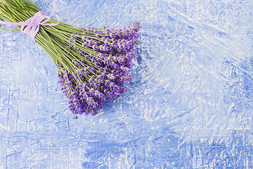 Image showing bunch of lavender