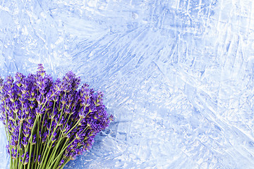 Image showing bunch of lavender