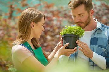 Image showing Man smelling potted plant