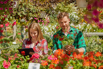 Image showing Gardeners doing paperwork